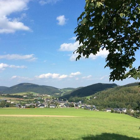 Ferienwohnung Haus Friederike Ab 6 Uebernachtungen, Inclusive Meine Card Plus Willingen  Buitenkant foto