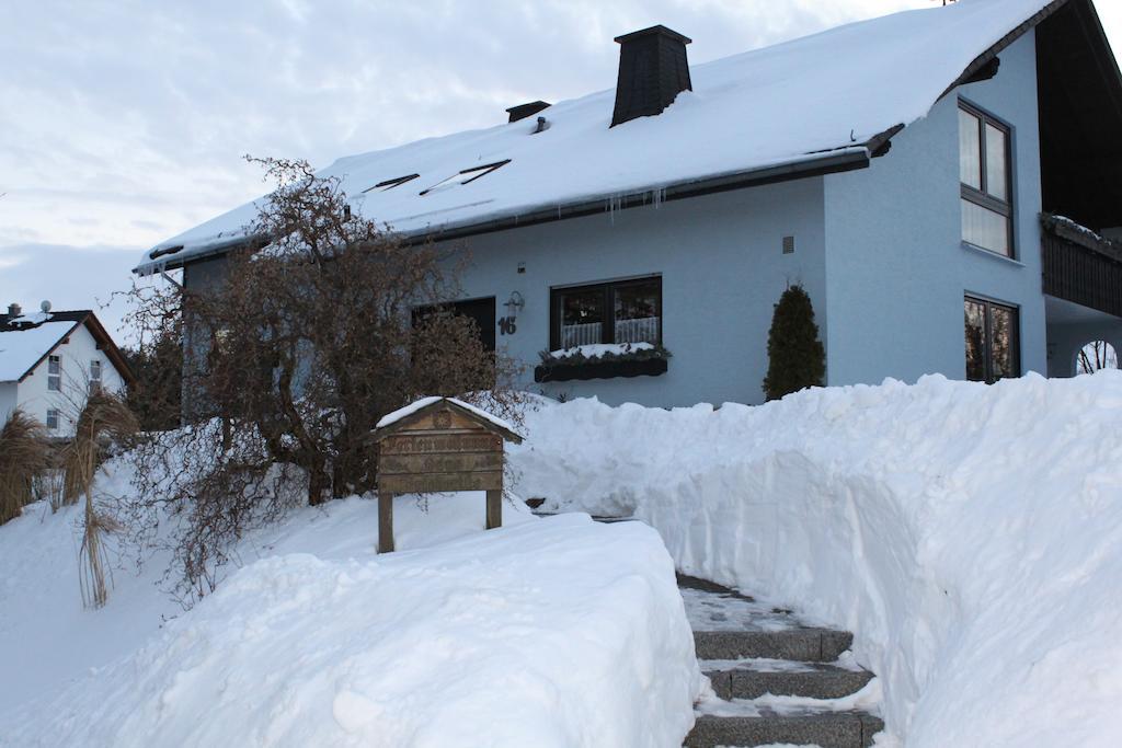 Ferienwohnung Haus Friederike Ab 6 Uebernachtungen, Inclusive Meine Card Plus Willingen  Kamer foto